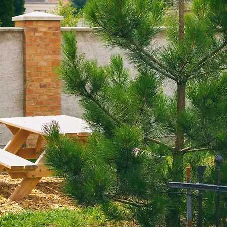 An Den Elbwiesen Gaestezimmer 