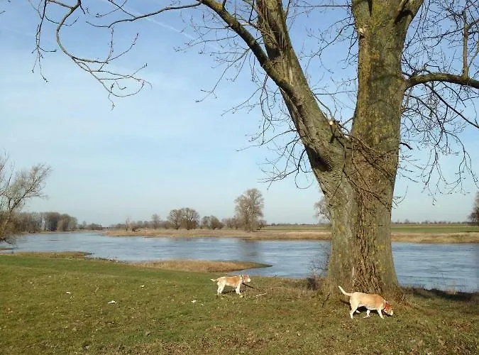 An Den Elbwiesen Gaestezimmer 