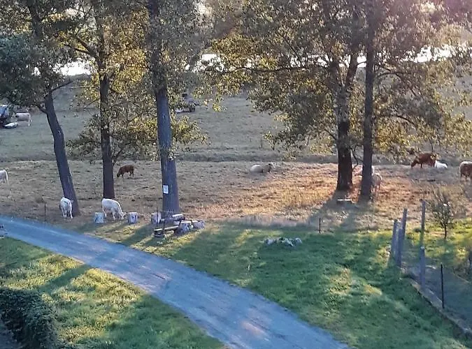 An Den Elbwiesen Gaestezimmer 